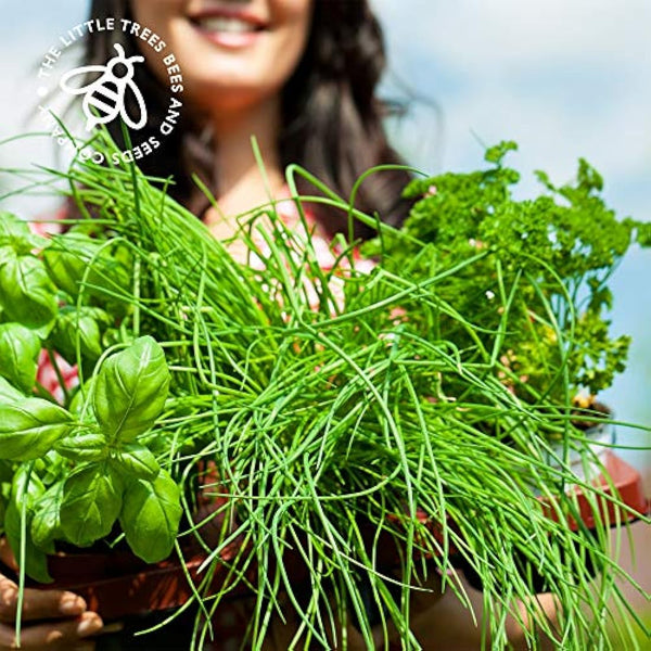 Herb Seeds for Gardening, 15 Seed Varieties Included in This Grow Your Own Herb Garden Pack, The Little Trees Bees & Seeds Company
