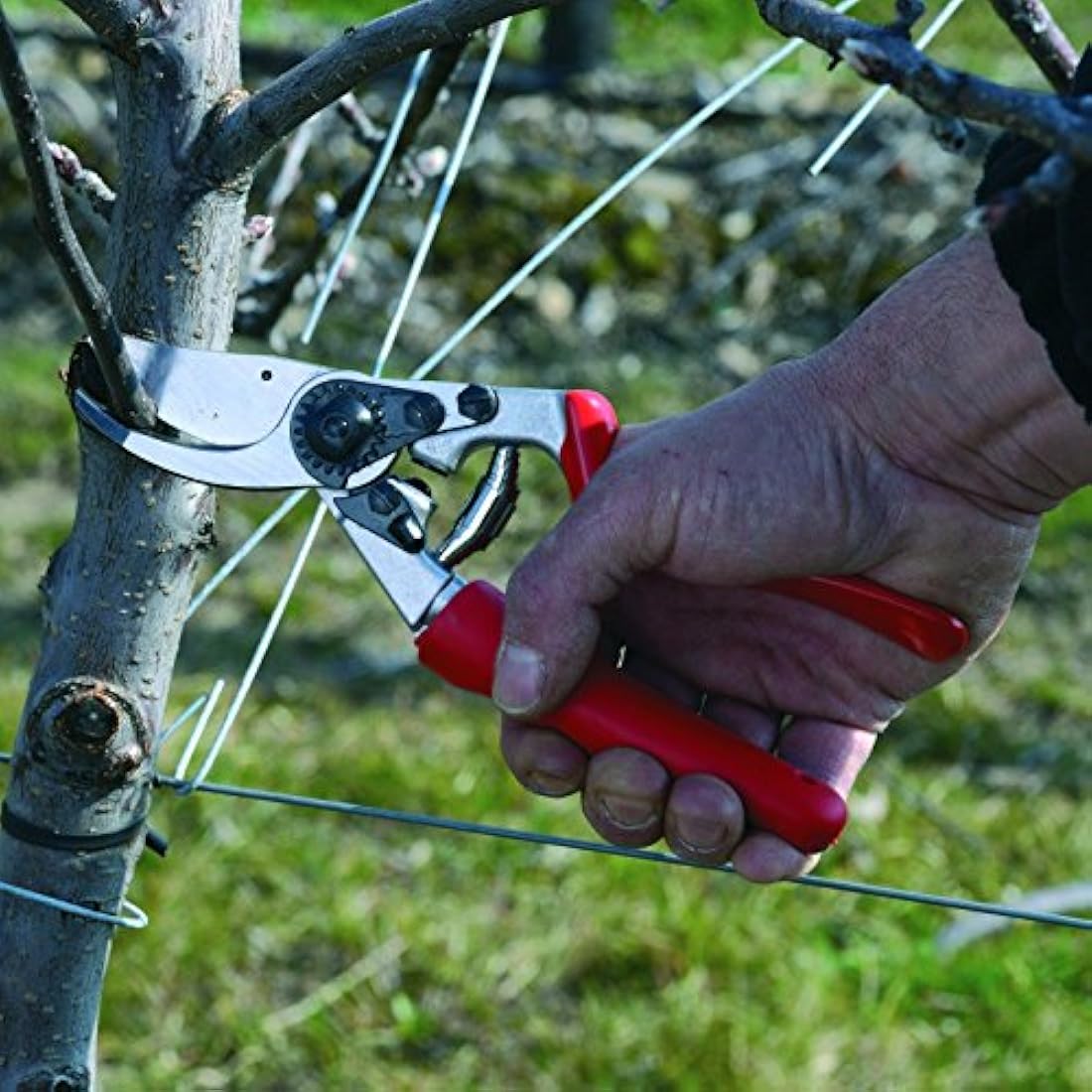 Felco Pruning Secateurs Model 7 Professional Large Right Hand Ergonomic Rotating Handle Hardened Steel Blade Floristry Garden Horticulture Vineyard Bonsai Topiary Olive Grove Swiss Precision