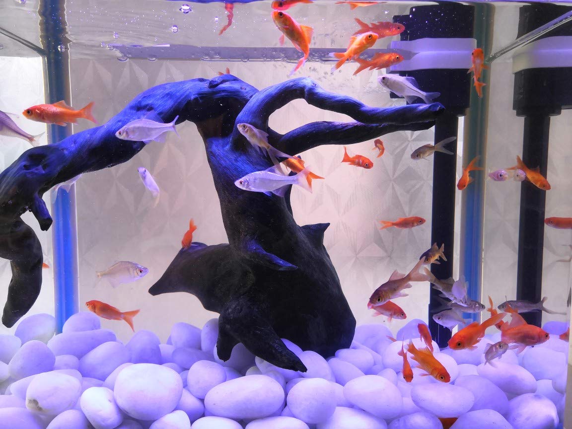 FANTIAN 9.1 Kgs White Decorative Stones for Garden, 30-50 mm White Pebbles for Plant Pots, Aquarium Rocks, Vase, Ponds and Fountain