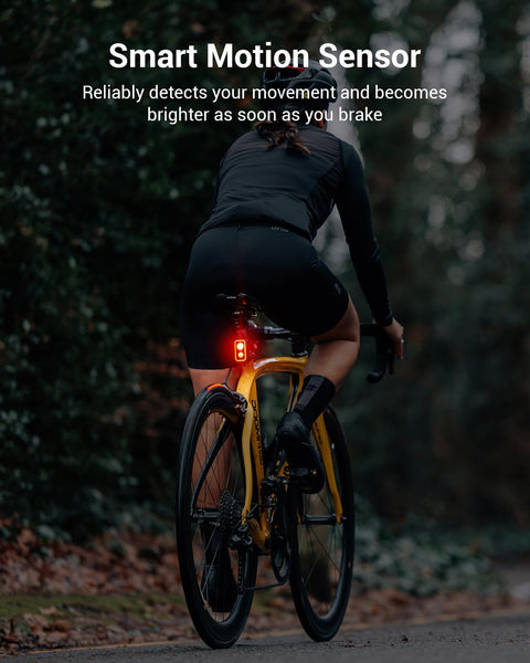 SEEMEE 300 Bike Taillight,300 Lumen Bike Tail Light,5 Night & Daytime Modes,Smart Brake Sensor IPX6 Waterproof USB-C Rechargeable Rear Bike Light for Night Riding