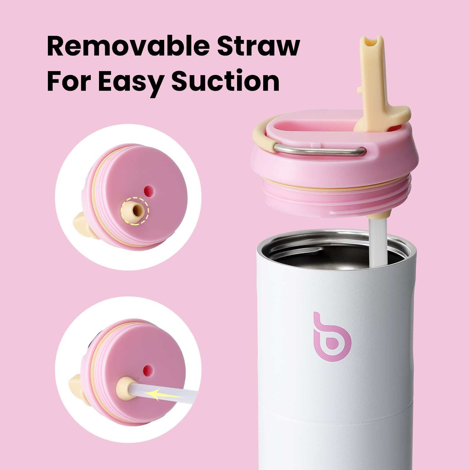 Insulated Water Bottle 700ml(24oz) with Straw, Lid, and Handle - Stainless Steel Sports Travel Gym Bottle for Men and Women (Skiing)