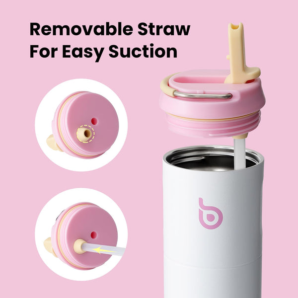 Insulated Water Bottle 700ml(24oz) with Straw, Lid, and Handle - Stainless Steel Sports Travel Gym Bottle for Men and Women (Skiing)