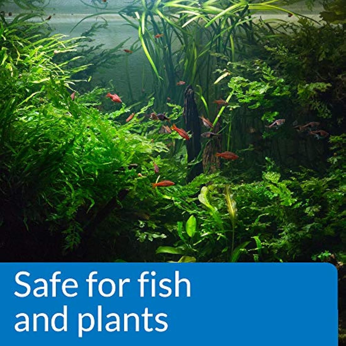 API pH DOWN Freshwater Aquarium Water pH Reducing Solution 118 ml Bottle