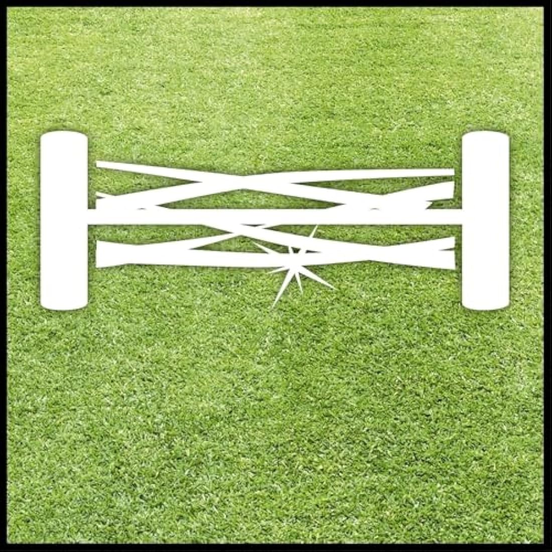 Einhell GC-HM 300 Hand Push Lawnmower -- Manual Lawn-Mower With 30cm Cutting Width, 16L Grass Box, 4 Cutting Height Levels -- Walk-Behind Lawn Mower For Small Gardens, Red & Black