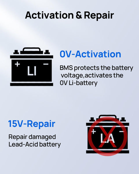 ECO-WORTHY 12V 10A LiFePO4 Battery Charger Automatic Smart and Maintainer (UK Plug) with LCD Display for Scooter Lead Acid and Lithium (LiFePO4) Battery