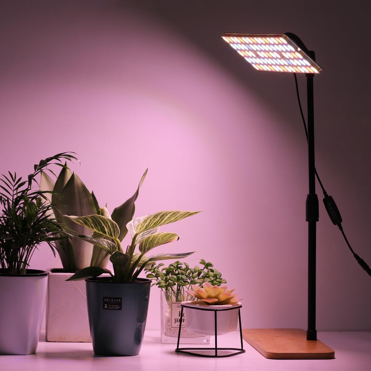 FANHAO Full Spectrum LED Grow Light with Stand, Height Adjustable Indoor Plant Light,Floor Grow Lamp with 3H/9H/12H Timer, 3 Modes and 10 Dimmable