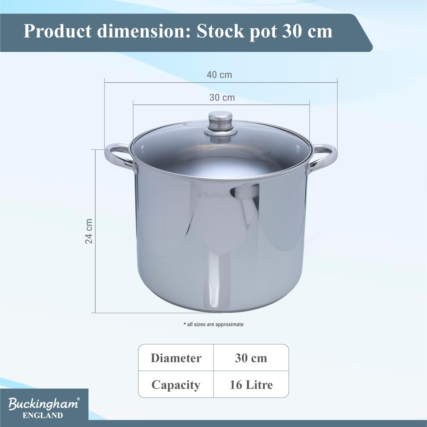 Buckingham Stainless Steel Stock Pot with lid Multipurpose Large Cooking Pot for Soups Stews (11 Litre)