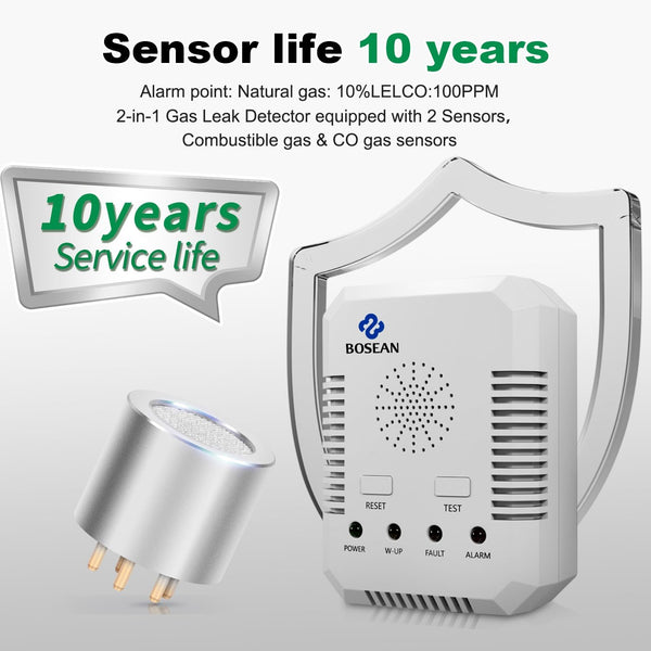 2 in 1 Carbon Monoxide Detector and Natural Gas Detector, Upgrade 2M Cable Wall-mounted CO Alarm with 2 Sensors for Home Kitchen, Gas Leak Detector with 10 Years Sensor Life