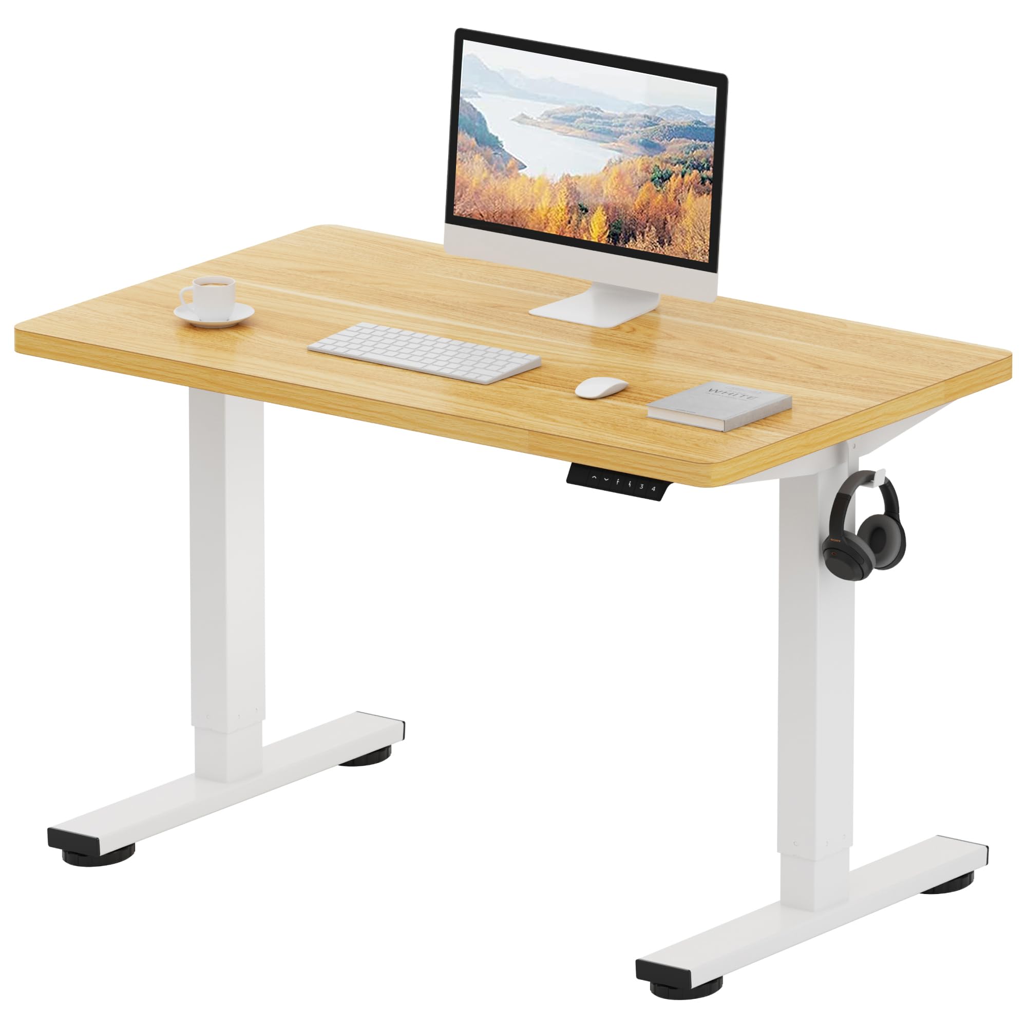 FLEXISPOT ONE PIECE Electric Standing Desk Height Adjustable Sit Stand Up Desk for Home Office with Memory Smart Pannel (100 * 60cm Black Frame+ Black Desktop)