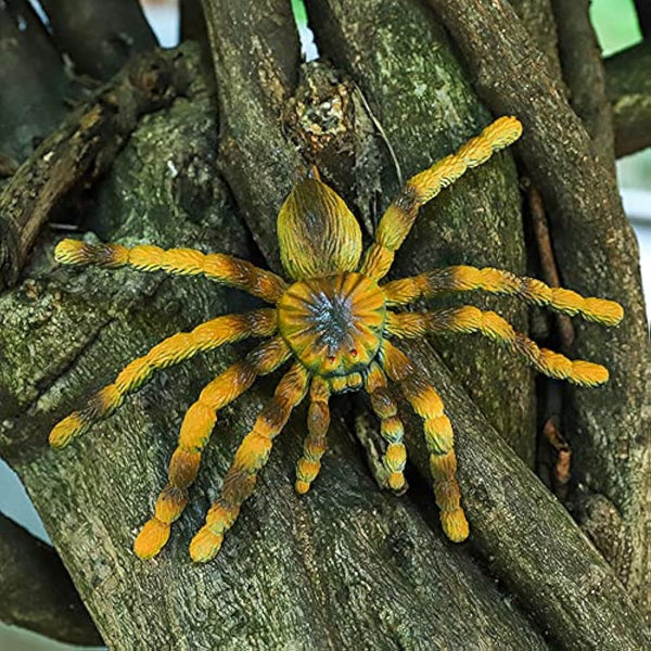 9 Pcs Plastic Spiders Animal Figures Large and Small Spiders Model Joke Presents Realistic Spider Prank Fake Spider Scary for Halloween Party Decorations Cake Topper Game Kid Early Educational Toys