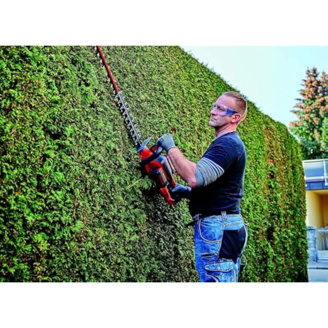 Einhell Power X-Change 36V Cordless Hedge Trimmer - 65cm (26 Inch) Cutting Length, Laser-Cut Diamond-Ground Steel Blades - GE-CH 36/65 Li Electric Hedge Trimmer Cordless (Battery Not Included)