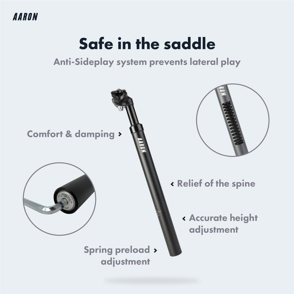 AARON - Spring Suspension Bike Seat Post - Aluminum Saddle Seatpost for E Bicycle, MTB, Trekking Bikes, City Bikes - 31.6mm Diameter, 13.8" (350mm)