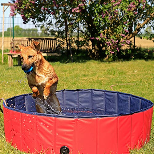 lionto Foldable dog pool made of scratch-resistant PVC material, ? 120 cm, height 30 cm, anti-slip coating & drain plug for quick emptying, no pump