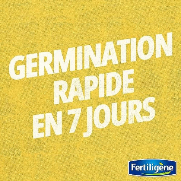 EVERGREEN FERTILIGENE GAZON RUSTIQUE UNIVERSEL, 35MA� RUST35