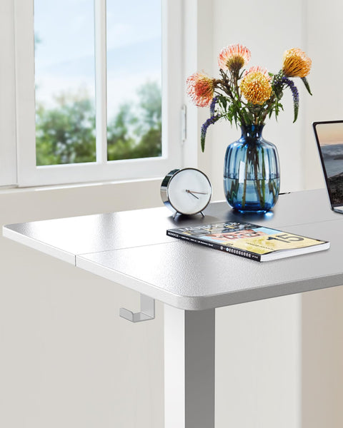 ErGear Electric Standing Desk Height Adjustable 120 x 60cm, Sit Stand Desk with 4 Memory Smart Pannel for Home Office with Splice Board