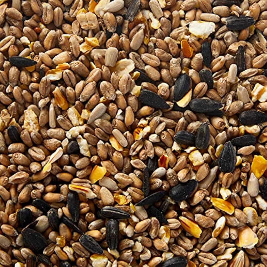 Extra Select Premium Wild Bird Food, 5 Litre