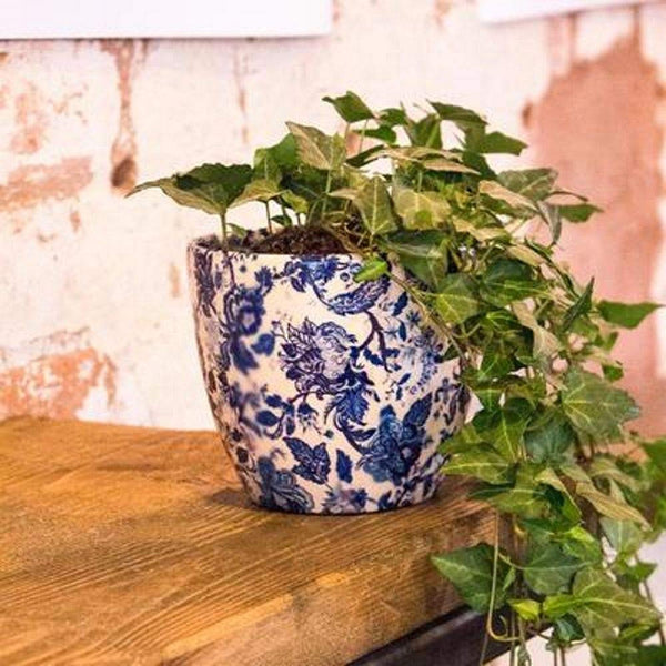 Ivyline Monza 6" Vintage Planter - Blue