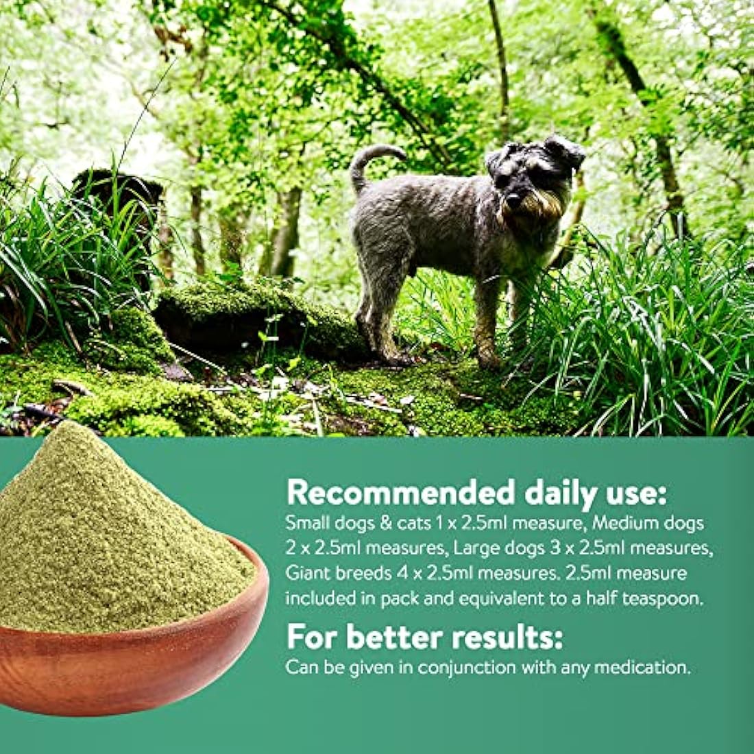 Dorwest Herbs Easy-Green Powder 1kg, Super Green Raw Diet Supplement for Dogs, Itch Relief for Dogs and Cats – Natural Supplement for Cats and Dogs with Allergies, (14DOR028)