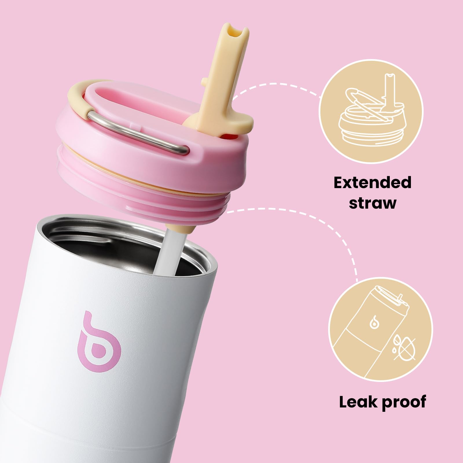 Insulated Water Bottle 700ml(24oz) with Straw, Lid, and Handle - Stainless Steel Sports Travel Gym Bottle for Men and Women (Skiing)