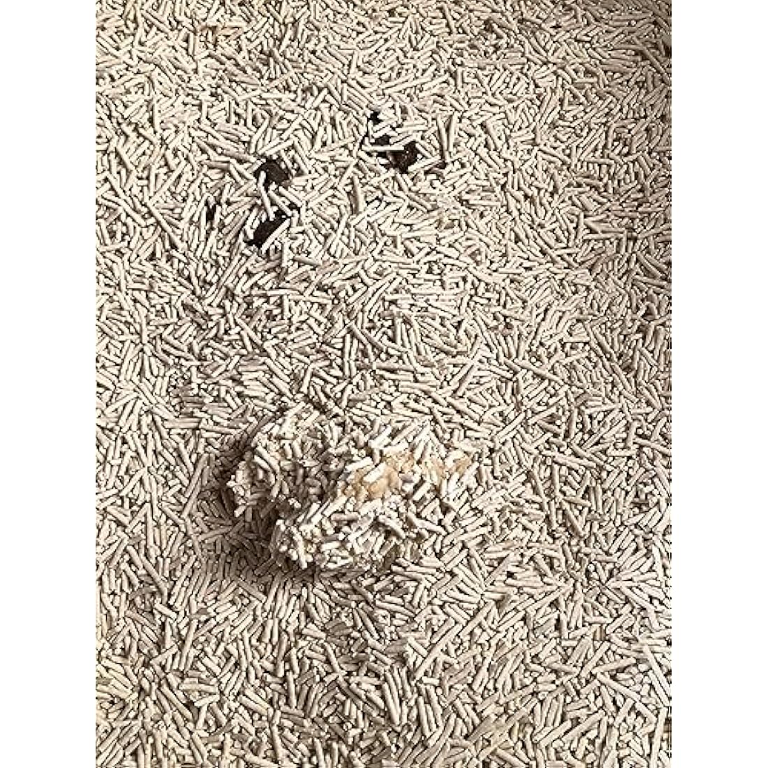 21L Organic Natural Cat Litter Ultra Clumping Odour Control Flushable Long Lasting Dust Free Seal By Zipper (Original Scent)