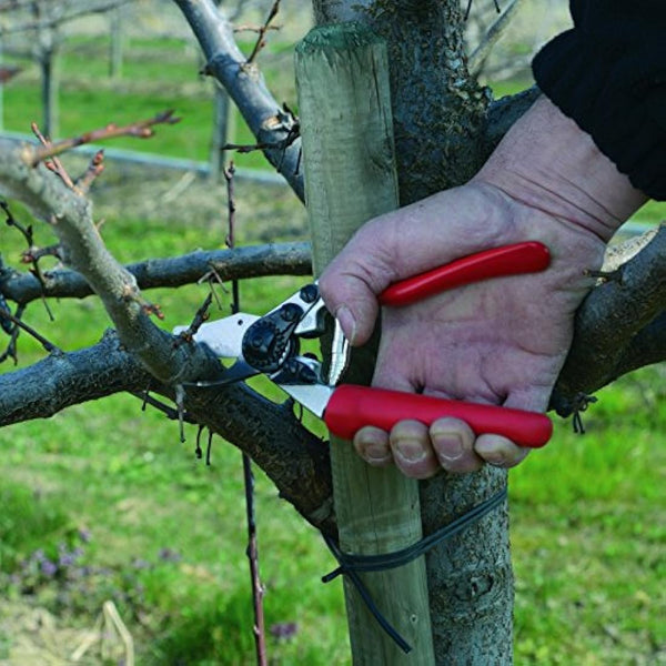 Felco FEL6 Model 6 Compact Secateurs, Red