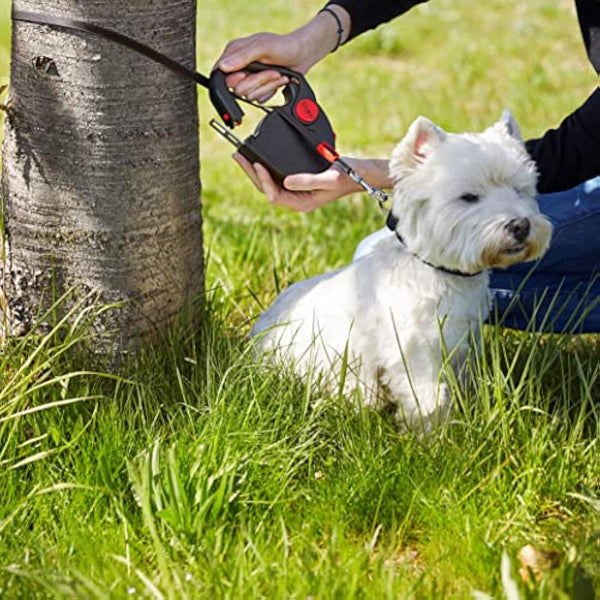 Dogxi Dog Lead Multifunctional Extendable Retractable Dog Lead 5m Handle Opens For Easy Fastening Seatbelt Buckle For Safe Transport In The Car For Small And Medium-Sized Dogs