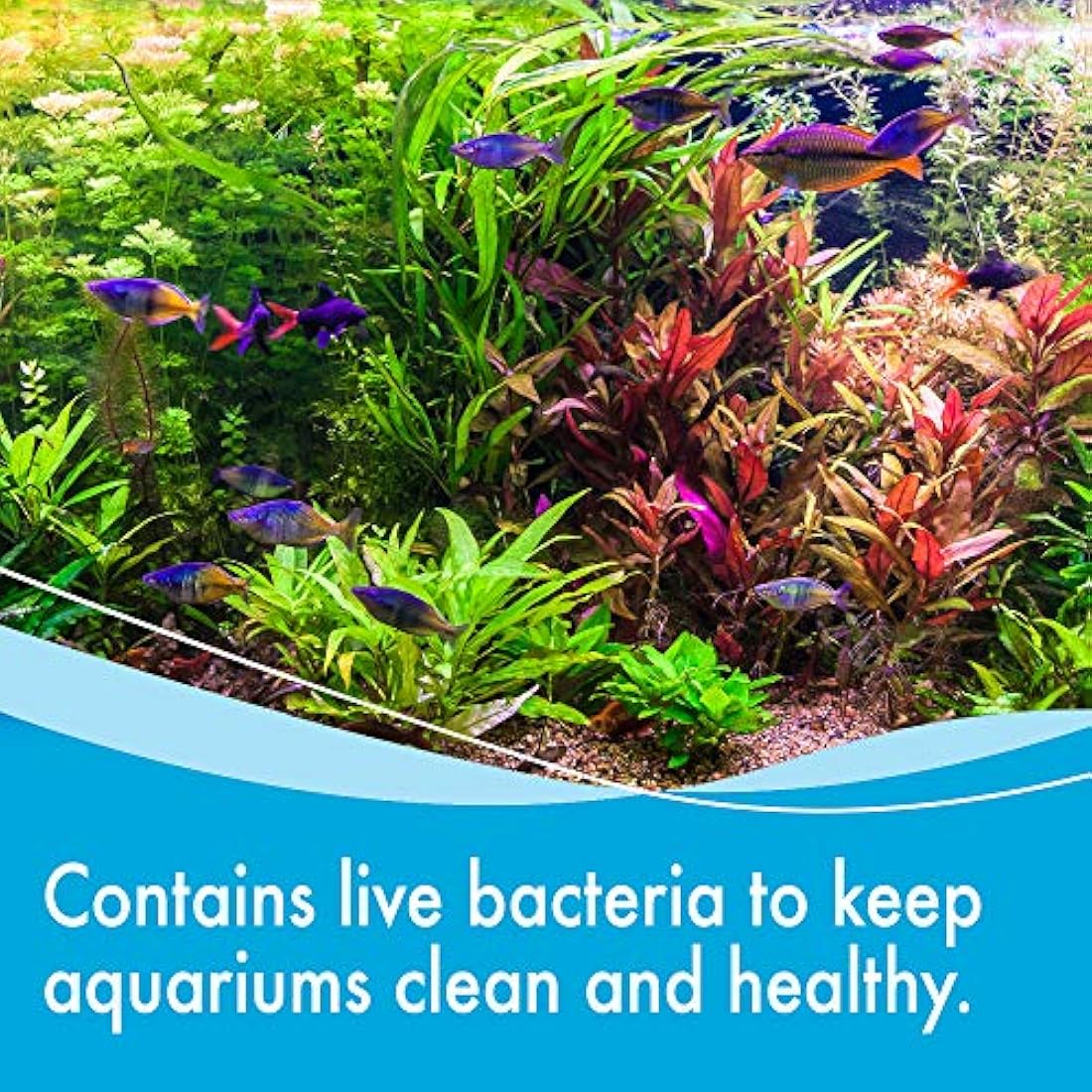 AQUARIAN Weekly Cleaner 473ml (Pack of 1)