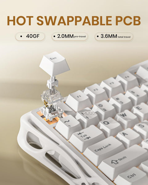 GravaStar Mercury K1 Lite 75% Gaming Keyboard, 2.4GHz/BT/Wired Tri-Mode Wireless Keyboard, Gasket Hot Swappable Mechanical Keyboard, Pre-lubed Linear Switches, RGB Backlit (Transparent Black)