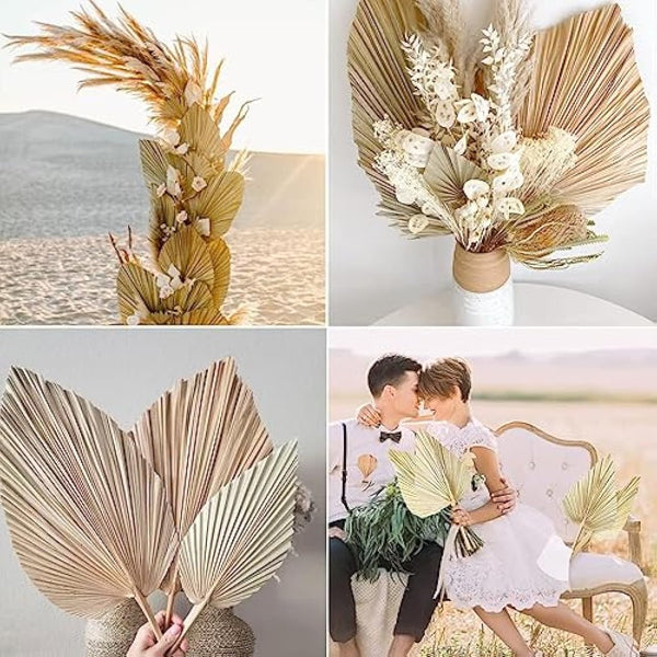Dried Palm Leaves 5Pcs 18" Large Natural Trimmed Palm Spear Tropical Palm Leaves Fans Boho Wedding Decor Hawaiian Luau Party Holidays Kitchen Table Dried Flowers Pampas Grass Decoration