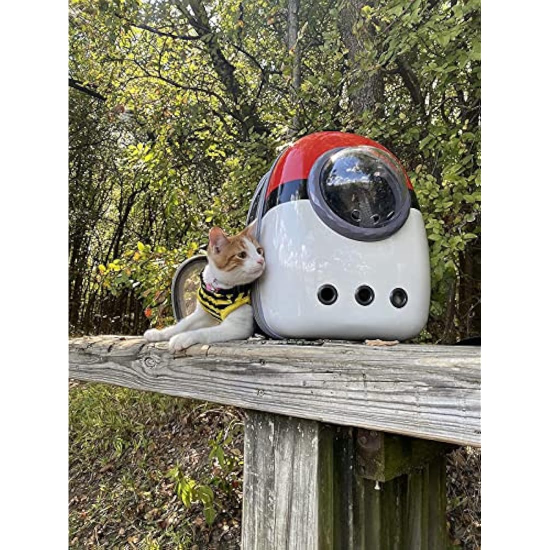 Interfashioner® Cat Carrier Backpack, Back Expandable Space Capsule Pet Carrier Backpack Bubble for Kitten Small Dog up to 5.5 kgs, Backpack for Cat