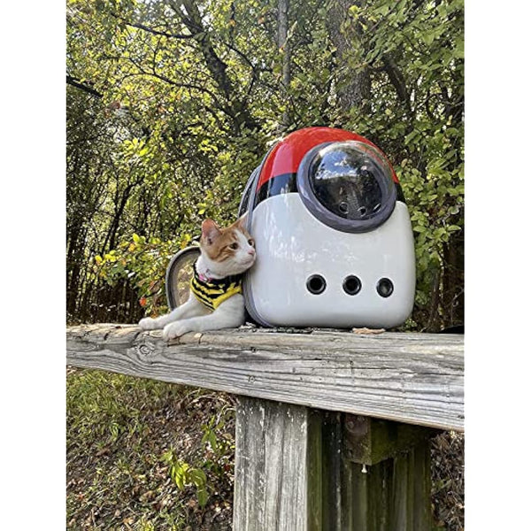Interfashioner® Cat Carrier Backpack, Back Expandable Space Capsule Pet Carrier Backpack Bubble for Kitten Small Dog up to 5.5 kgs, Backpack for Cat