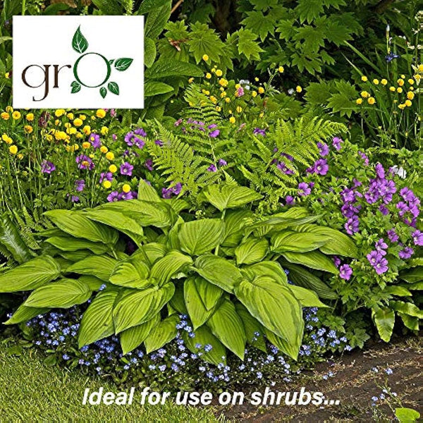 The Gro Company Gro Organic Top Soil Fertiliser - Perfect Soil Improver Enhancer, 100% Chemical Free Soil Feed for Growing, 00GRO