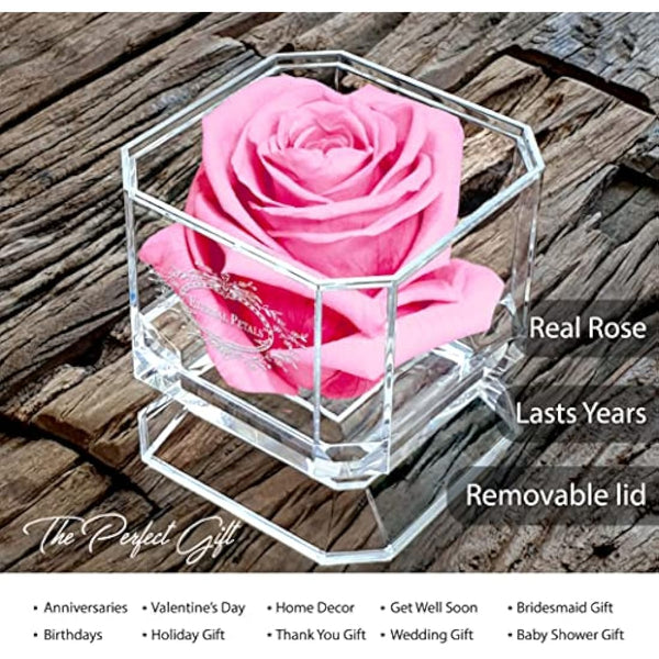 Eternal Petals A 100% Real Rose That Lasts A Year - The Perfect Unique Gift for Women and Men, An, A Birthday Gift (Pink)