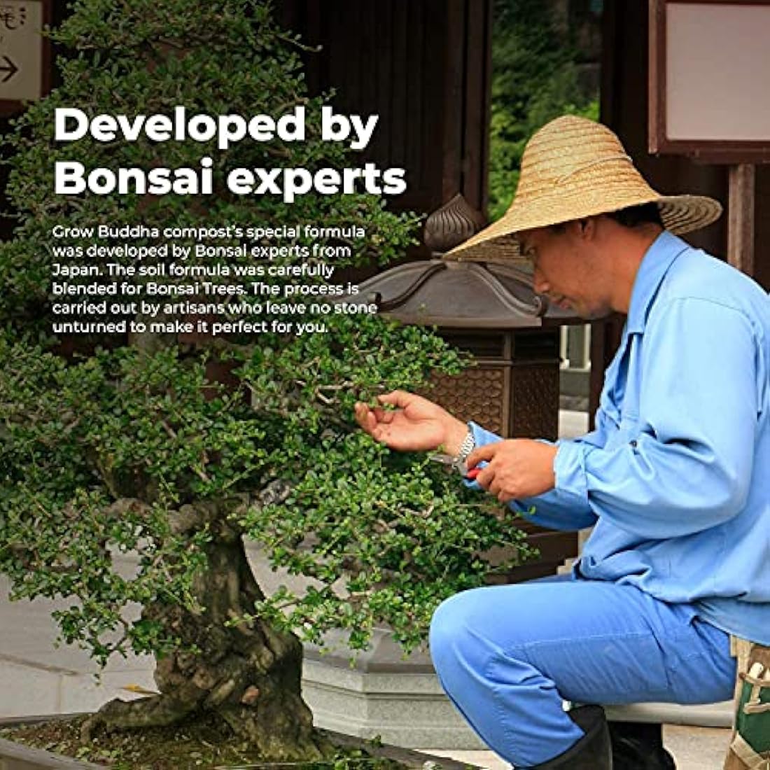 Grow Buddha Bonsai Soil compost food fertiliser medium Bonsai soil compost