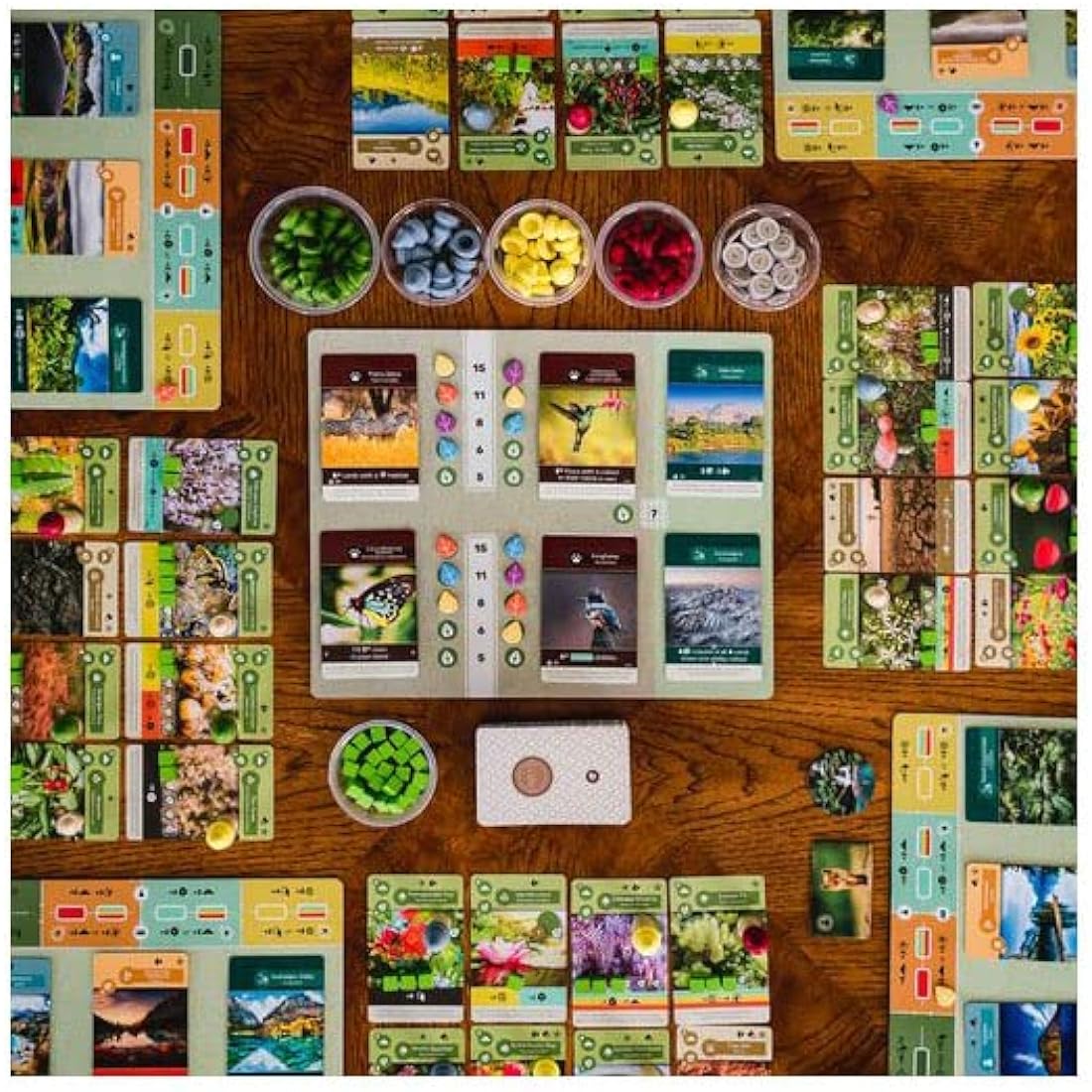 Inside Up Games | Earth | Board Game | Ages 14+ | 1-5 Players | 45-90 Minutes Playing Time, G121620