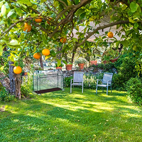 Relaxdays Metal Greenhouse, 92 x 124 x 42 cm, Transparent with Roll-up Door