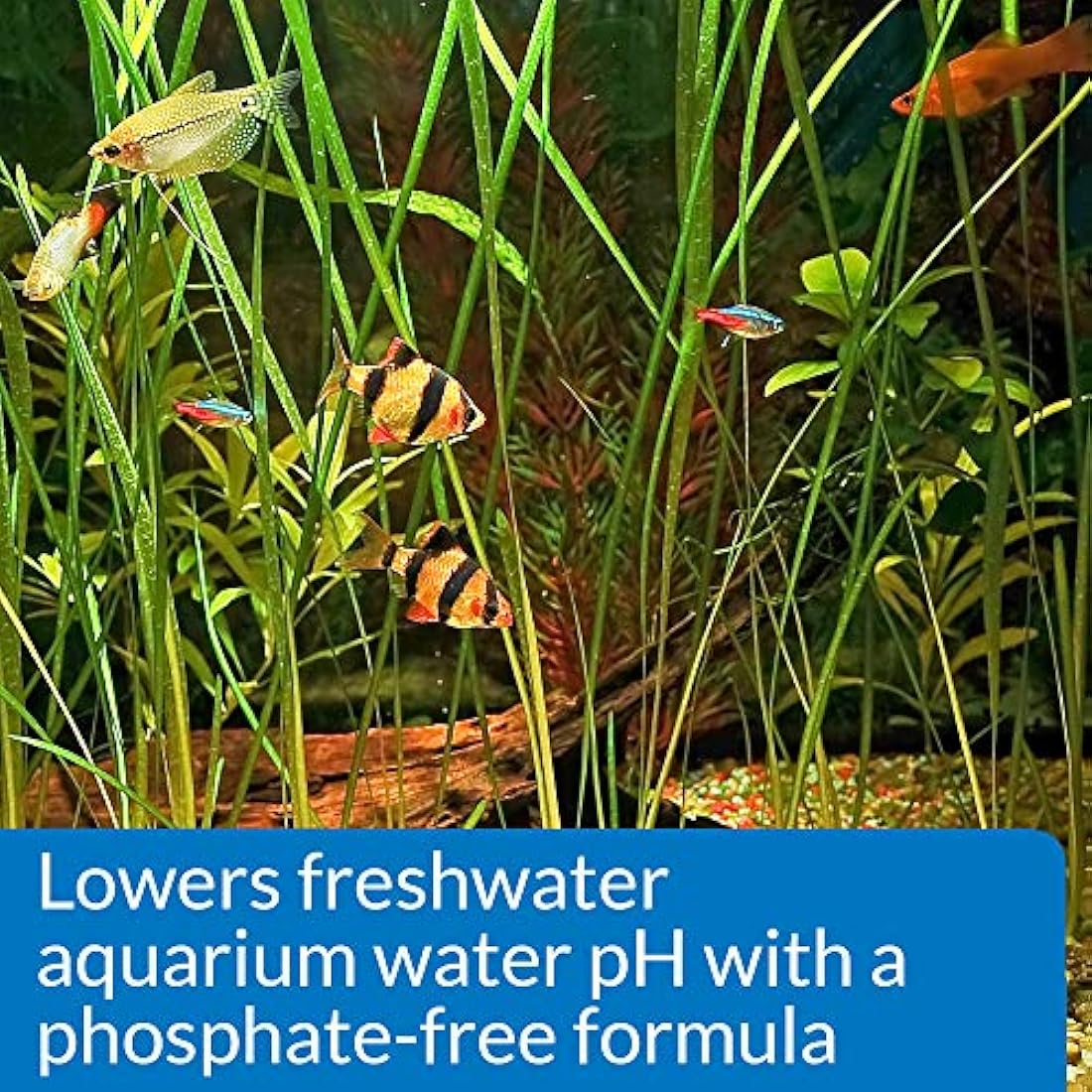 API pH DOWN Freshwater Aquarium Water pH Reducing Solution 118 ml Bottle