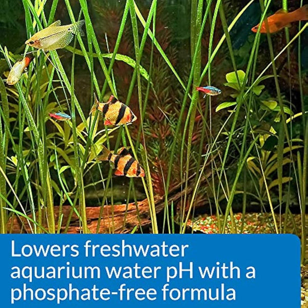 API pH DOWN Freshwater Aquarium Water pH Reducing Solution 118 ml Bottle