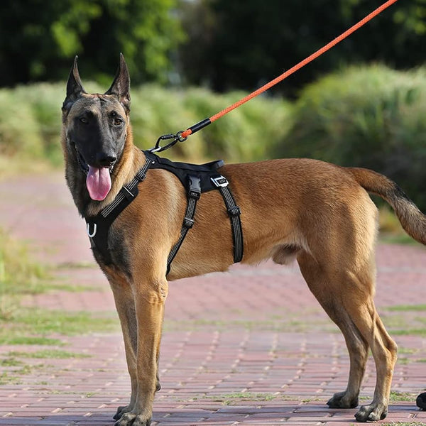 Escape Proof Dog Harness .No-Pull Adjustable Reflective Vest Harness with Handle Leash Attachments for Outdoor Training Walking