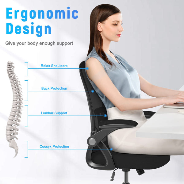 naspaluro Office Chair Ergonomic Desk with 90° Flip-up Armrest Lumbar Support, Height Adjustable Chair, Executive Swivel Computer Padded Seat Cushion for Home/Office