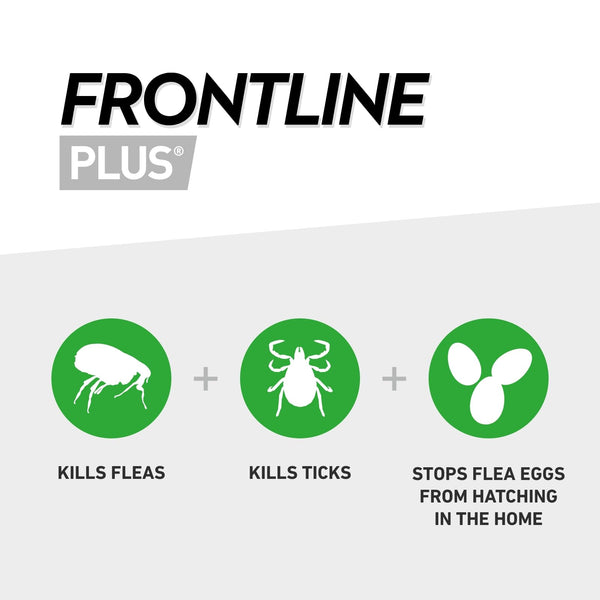 FRONTLINE Plus Flea & Tick Treatment for Cats and Ferrets - 6 Pipettes