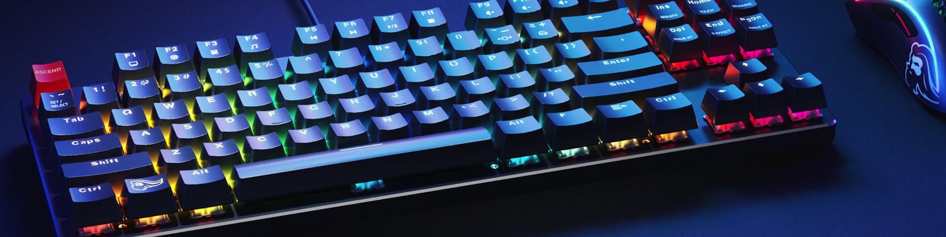 Glorious Gaming GMMK Compact 60%, Barebones (Frame Only) - Mechanical Gaming Keyboard, Per Key RGB, Hotswap & Customisable, International/ISO Layout - Black