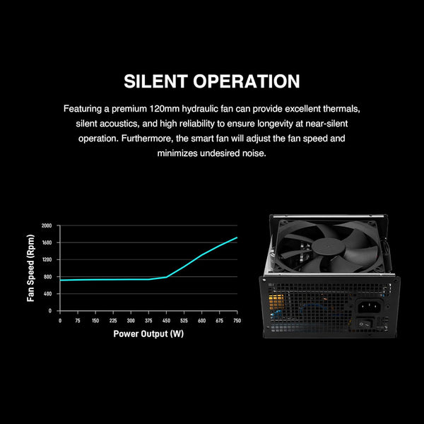 GAMDIAS HELIOS P2-750G Low-Noise ATX PC Power Supply, 80 PLUS Gold Non-Modular Computer PSU, ATX 3.1 & PCIe Gen 5.1 Ready, Native 12VHPWR Cable, Full DC-DC, LLC Resonant Circuit Design, Black