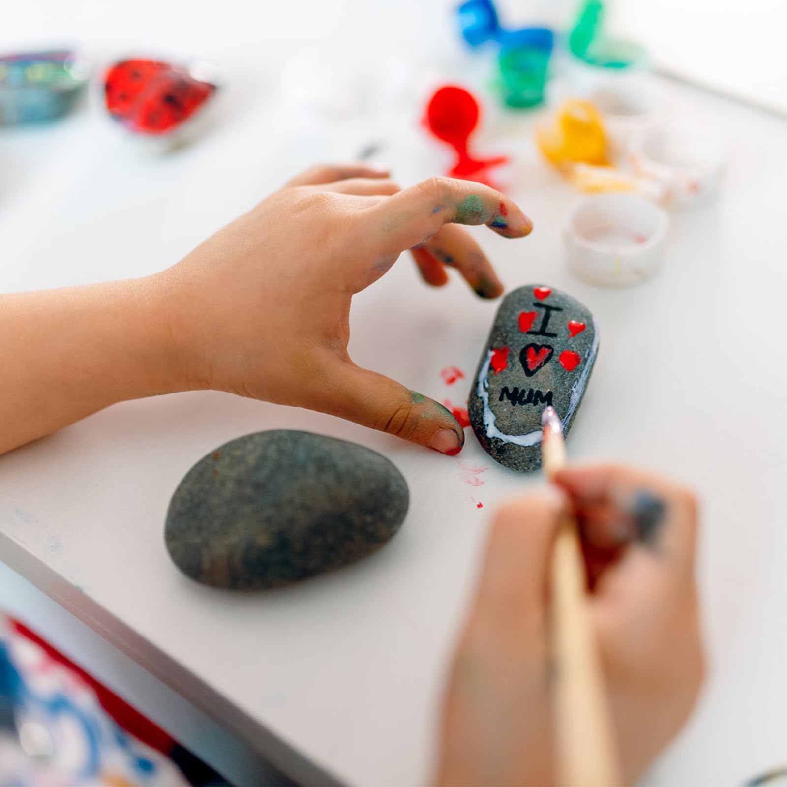 FANTIAN 20 lbs Black Stones for Garden,2-4 cm Decorative Black Pebbles for Plant Pots, Ponds, Water Features, Aquarium, Borders and Ground Cover