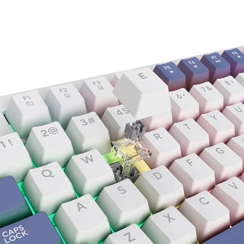 GXTrust 872 Xyra TKL Mechanical Keyboard Gasket Mount UK Layout, Hot Swappable Wired Gaming Creamy Keyboard 80%, RGB Backlit with Software, Custom Soft Feel Pre-lubed 5-pin Leobog Linear 60M Switches