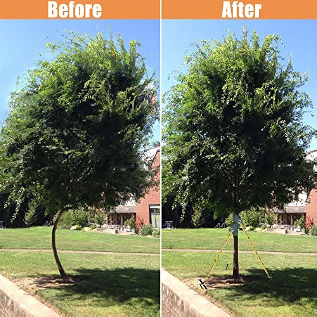 Aoipend Heavy Duty Tree Stakes Kit, Tree Supports for Leaning Tree 6 Pcs Metal Stakes-6 Pcs Tree Straps-80ft Reflective Guy Lines Resistant to Strong Winds Anchoring Kits for Young Trees Outdoor Tent