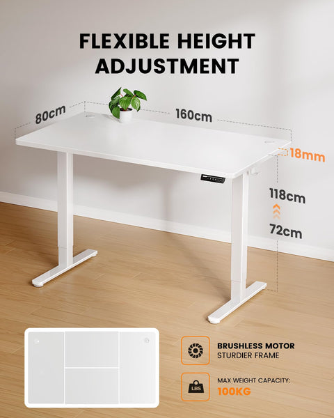 ErGear Electric Standing Desk-160 x 80 cm-100kg Load Capacity Height Adjustable Desk with Advanced Brushless Motor, Quiet Operation, Sturdy Metal Frame,Four-part Tabletop