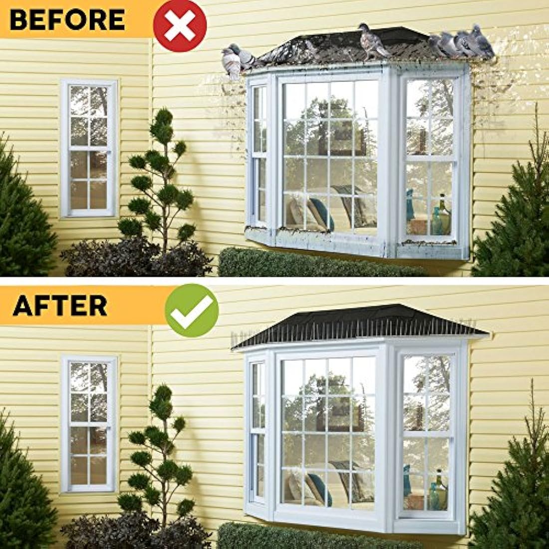 Defender Plastic Pigeon Spikes Pack | 6 m with Glue | Bird Control Guide | Various Size Packs