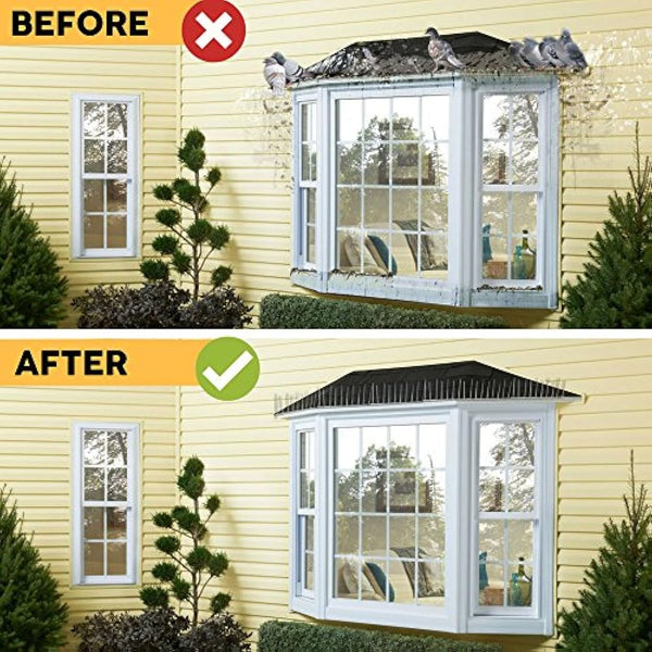 Defender Plastic Pigeon Spikes Pack | 6 m with Glue | Bird Control Guide | Various Size Packs