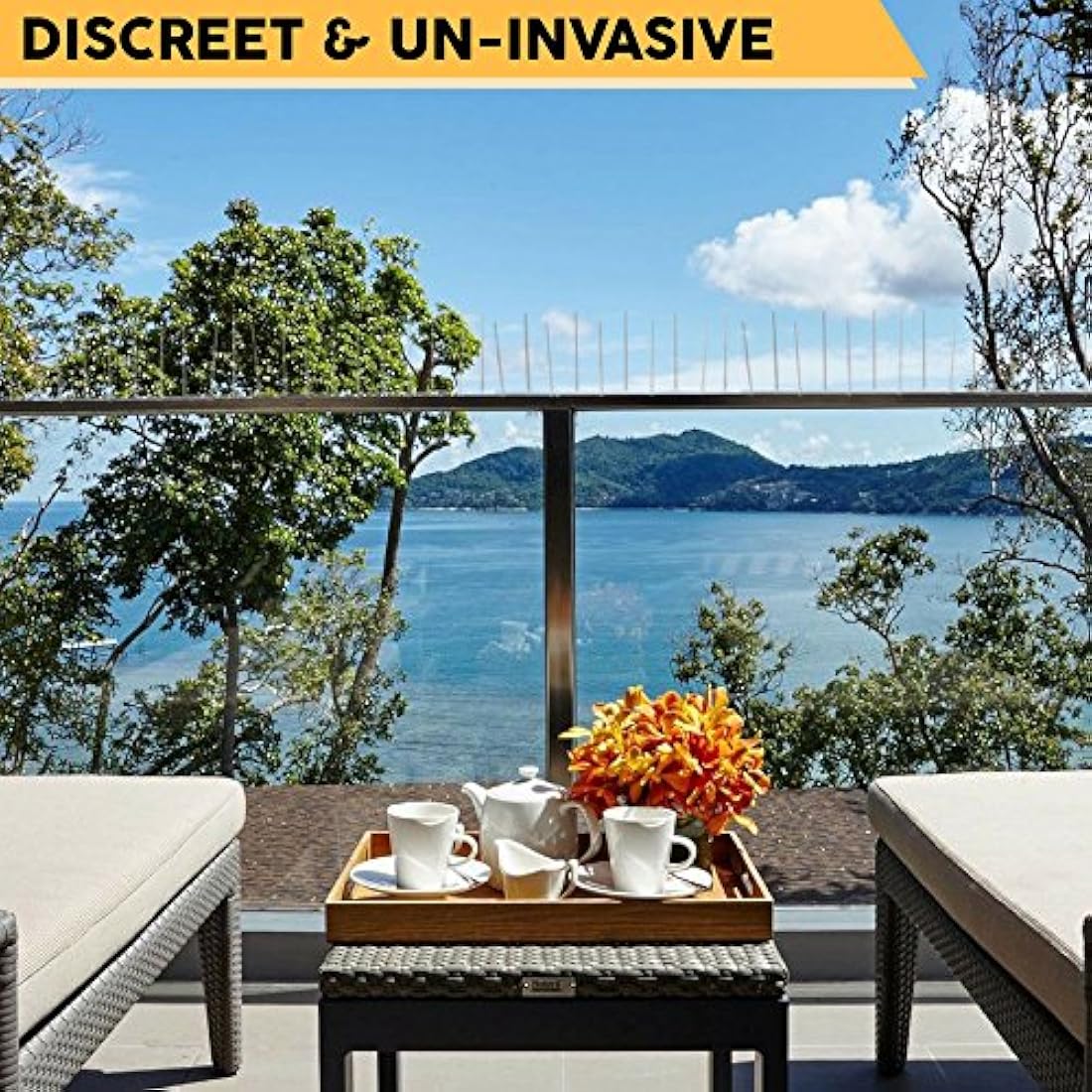 Defender Plastic Pigeon Spikes Pack | 6 m with Glue | Bird Control Guide | Various Size Packs